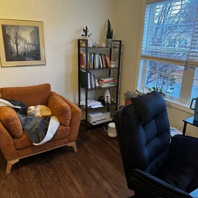 Cozy room with a sleeping cat on an orange armchair, a tall bookshelf with various books, a large window displaying a winter scene, and a black chair.